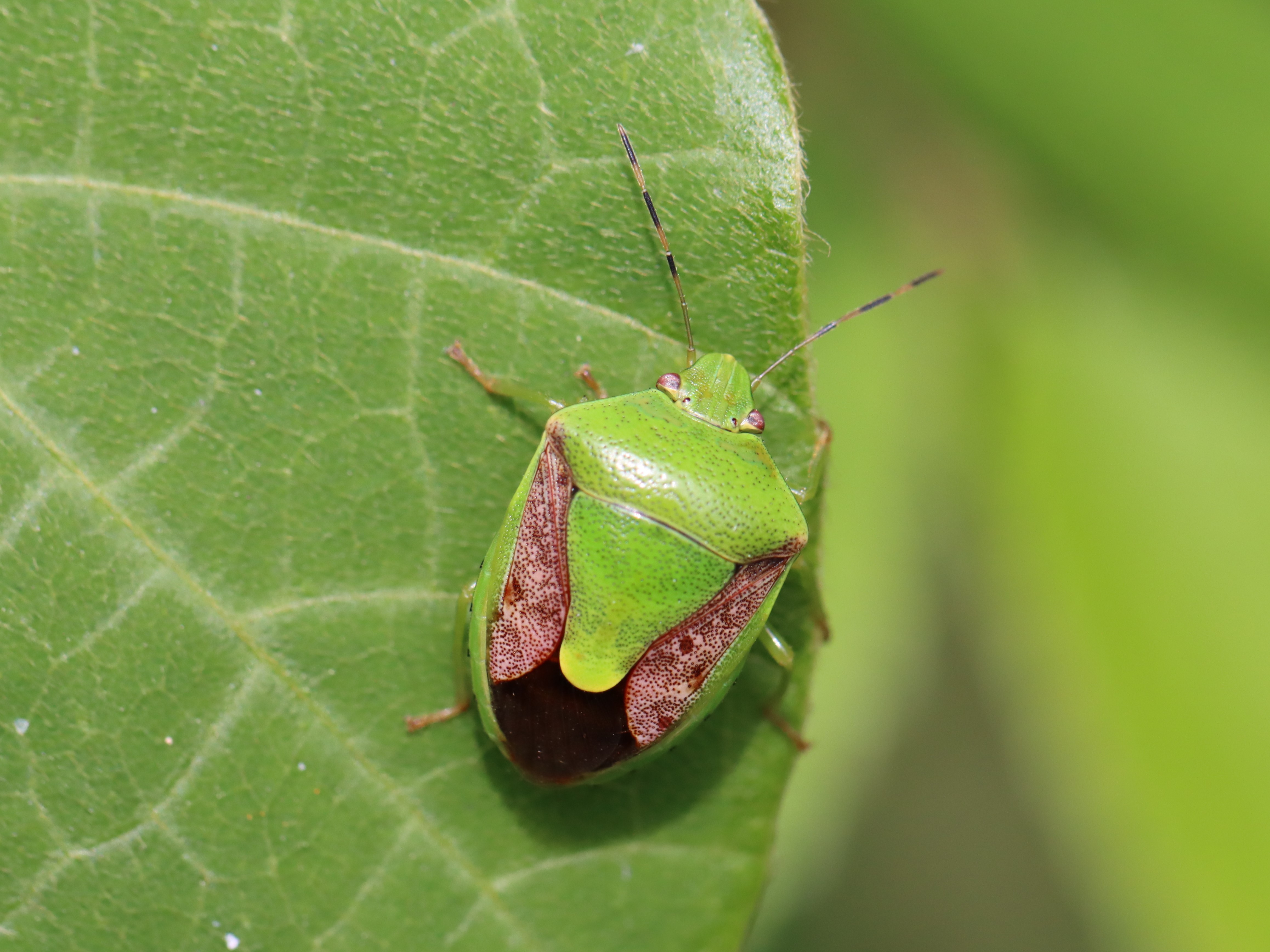 photo_2